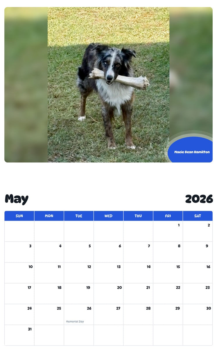 2026 - 2027 Macie Bean Hamilton - Pawidols Pet Calendar