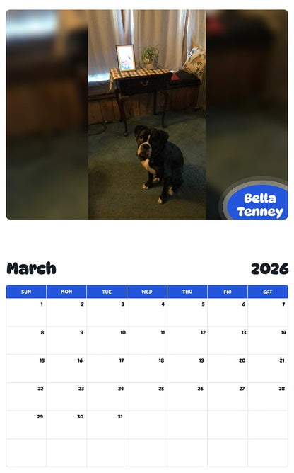 November 2025 - October 2026 Bella Tenney - Pawidols Pet Calendar