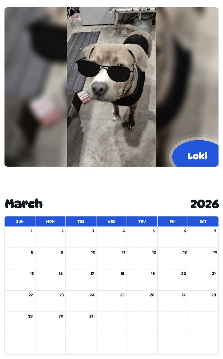 November 2025 - October 2026 Loki - Pawidols Pet Calendar