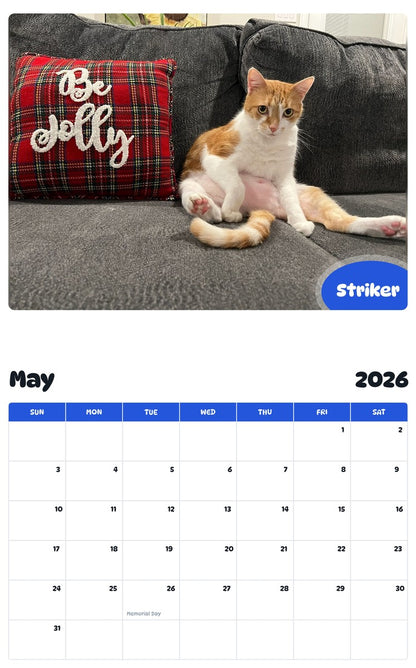 2026 - 2027 Striker - Pawidols Pet Calendar