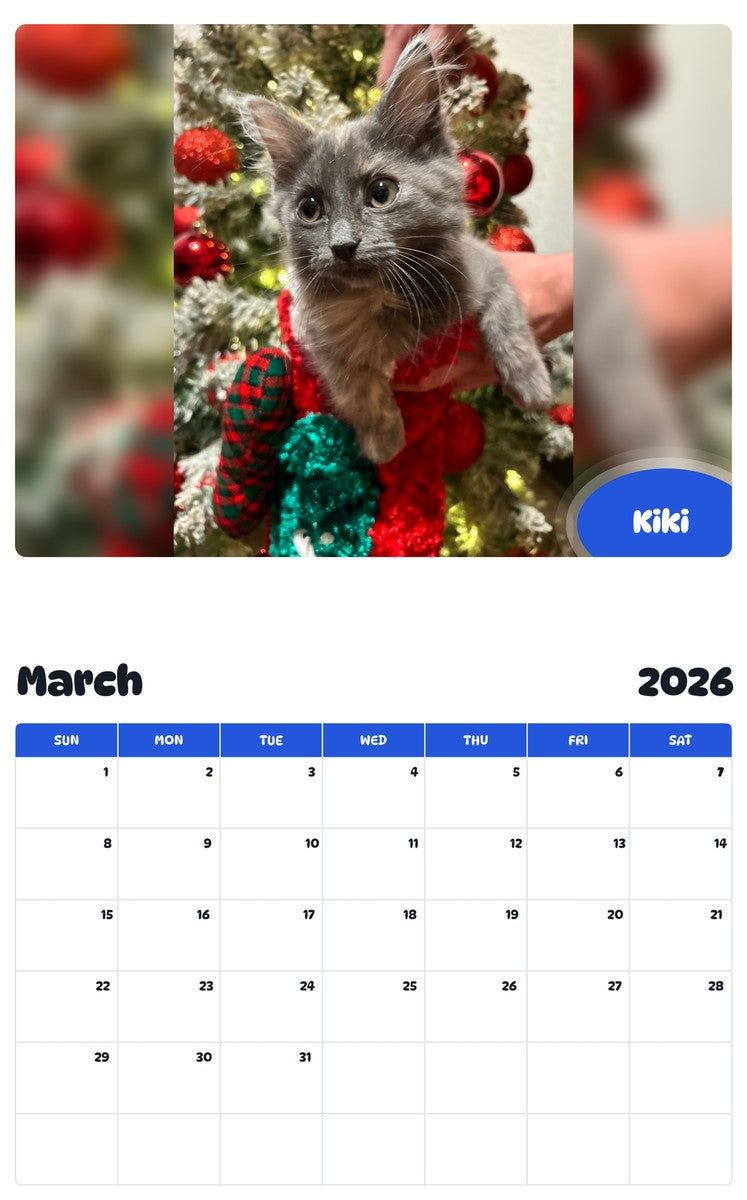 November 2025 - October 2026 Kiki - Pawidols Pet Calendar