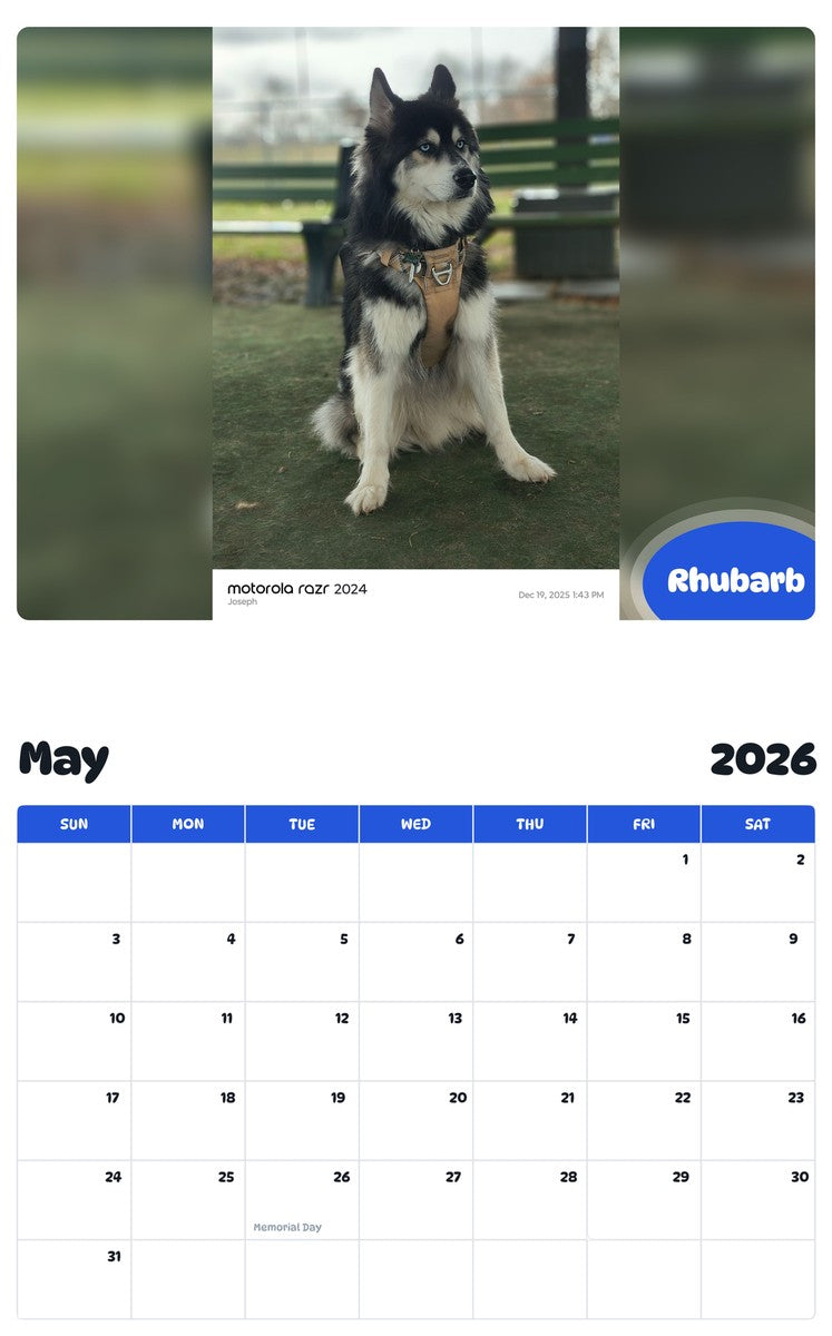 2026 - 2027 Rhubarb - Pawidols Pet Calendar