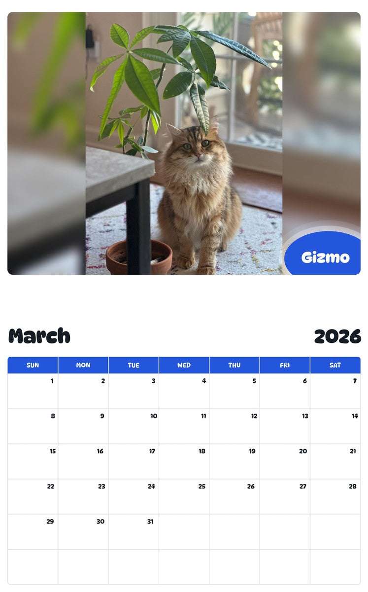 November 2025 - October 2026 Gizmo - Pawidols Pet Calendar