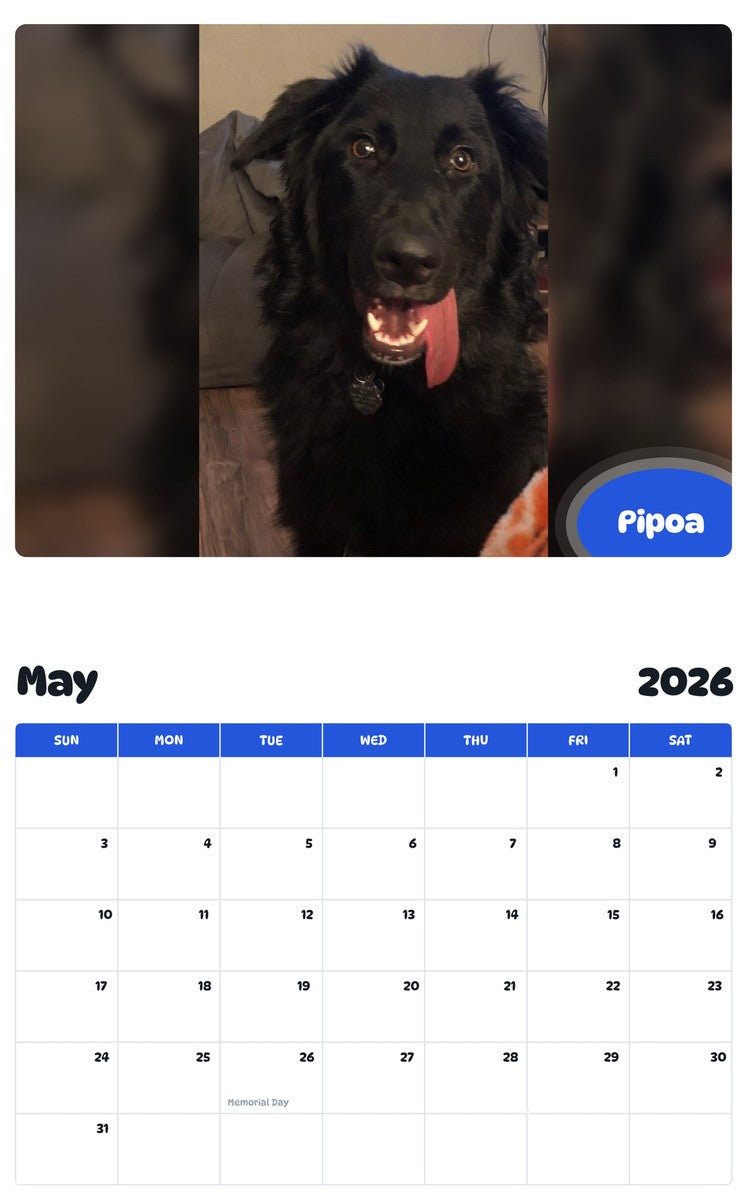 2026 - 2027 Pipoa - Pawidols Pet Calendar