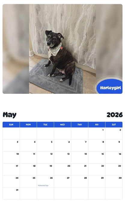 2026 - 2027 Harleygirl - Pawidols Pet Calendar