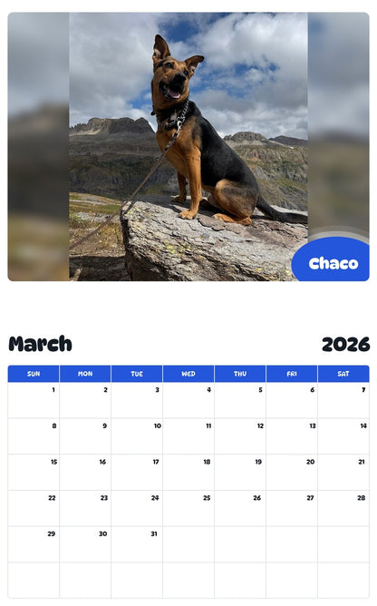 November 2025 - October 2026 Chaco - Pawidols Pet Calendar