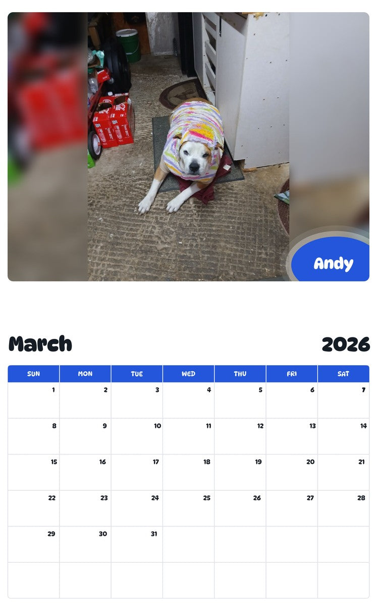 November 2025 - October 2026 Andy - Pawidols Pet Calendar