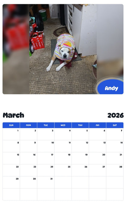 November 2025 - October 2026 Andy - Pawidols Pet Calendar