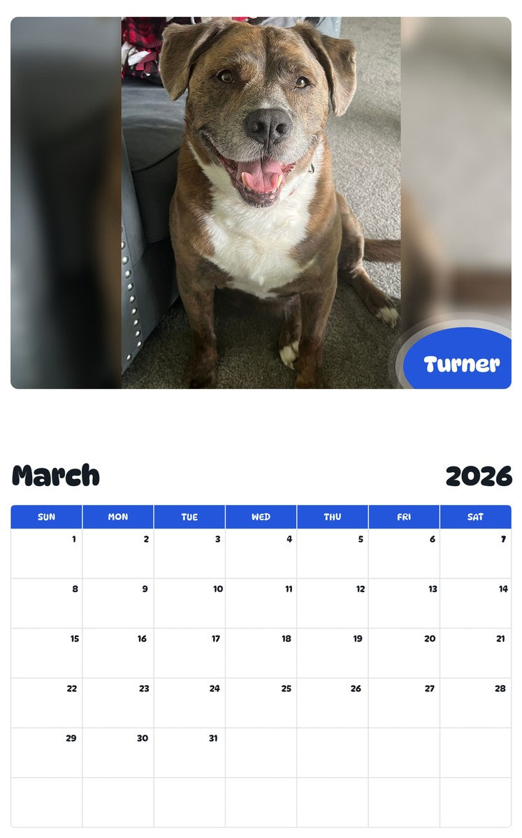 November 2025 - October 2026 Turner - Pawidols Pet Calendar