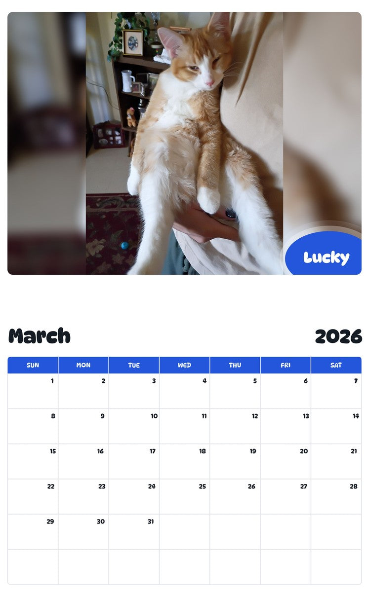 November 2025 - October 2026 Lucky - Pawidols Pet Calendar