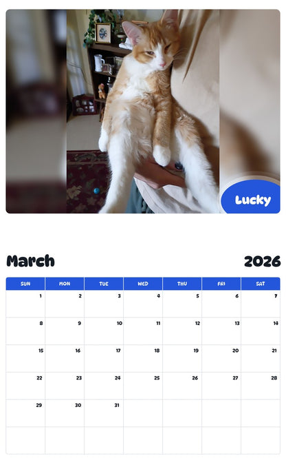 November 2025 - October 2026 Lucky - Pawidols Pet Calendar