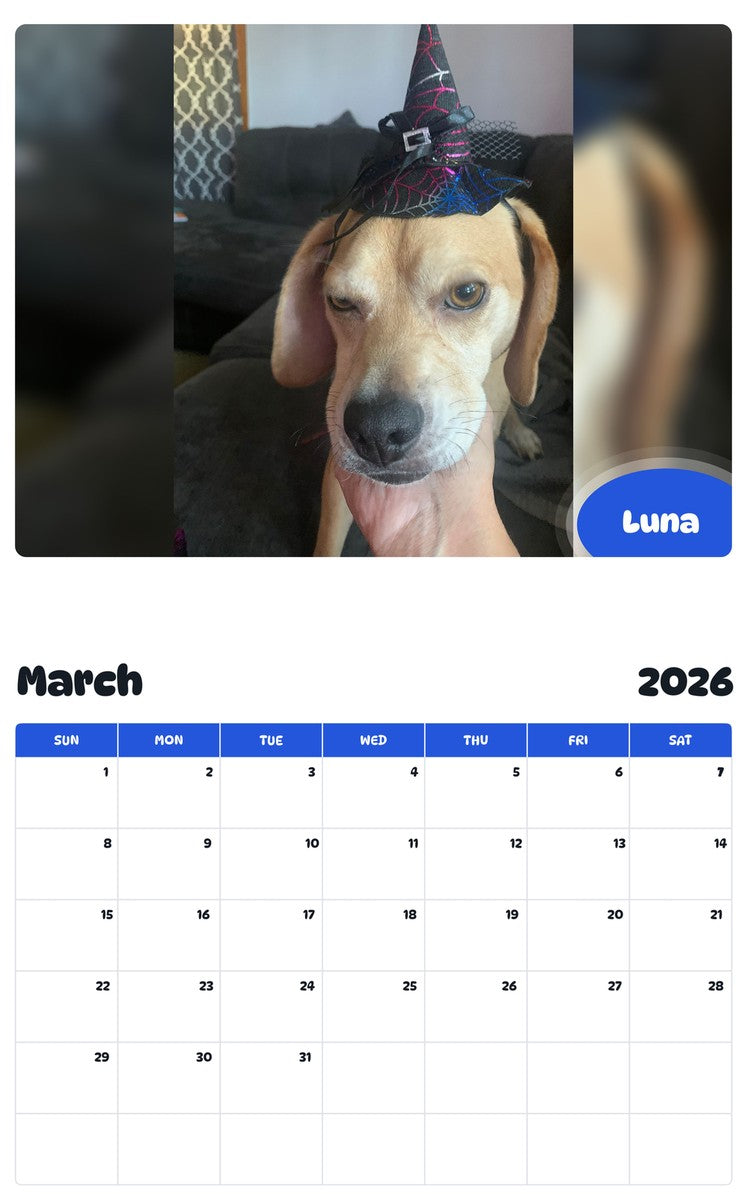 November 2025 - October 2026 Luna - Pawidols Pet Calendar