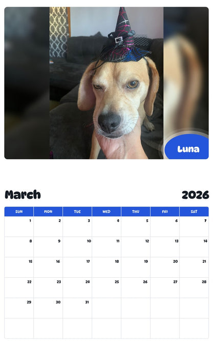 November 2025 - October 2026 Luna - Pawidols Pet Calendar