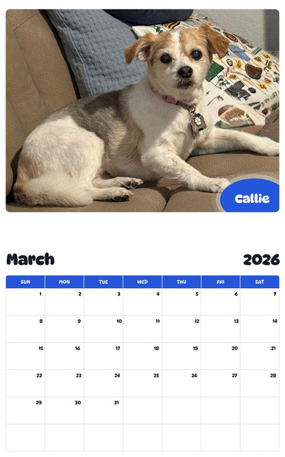 November 2025 - October 2026 Callie - Pawidols Pet Calendar