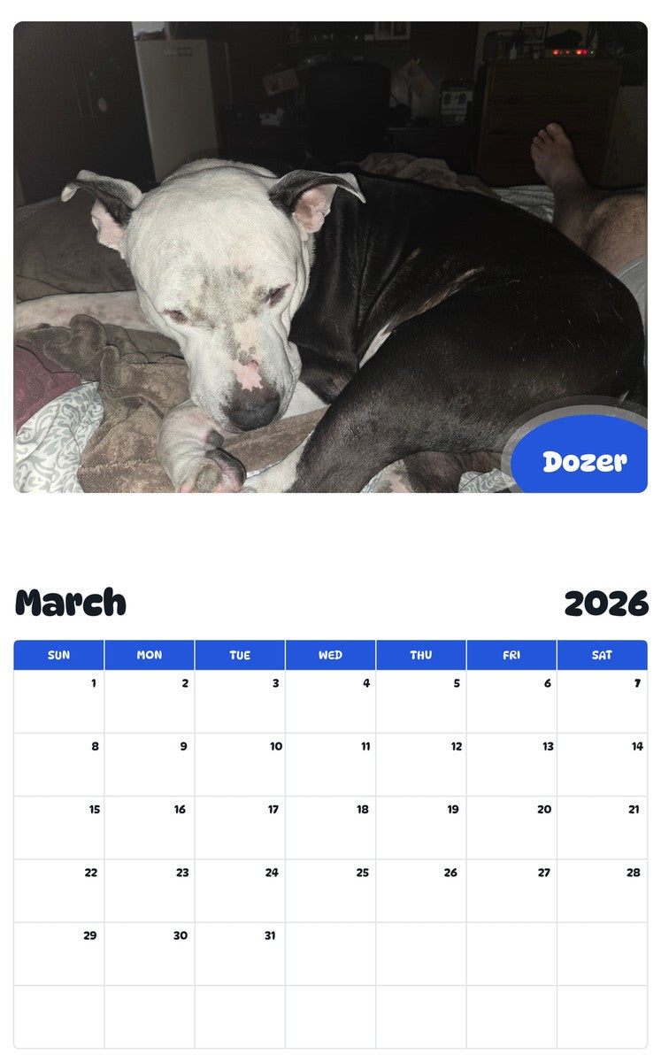 November 2025 - October 2026 Dozer - Pawidols Pet Calendar