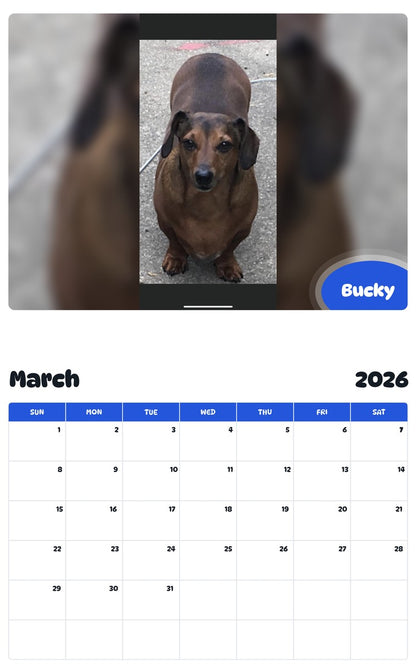 November 2025 - October 2026 Bucky - Pawidols Pet Calendar
