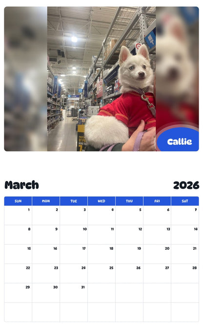 November 2025 - October 2026 Callie - Pawidols Pet Calendar