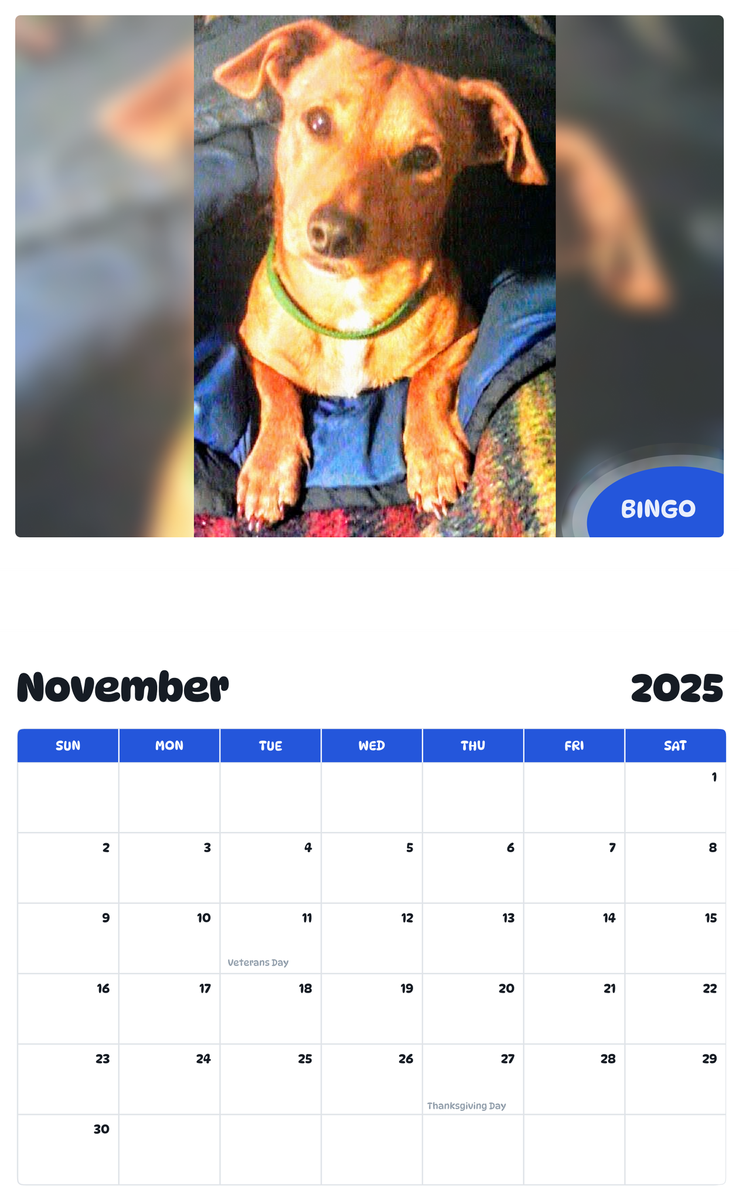 July 2025 June 2026 Bingo Pawidols Pet Calendar July 2025 june 2026 bingo pawidols pet calendar