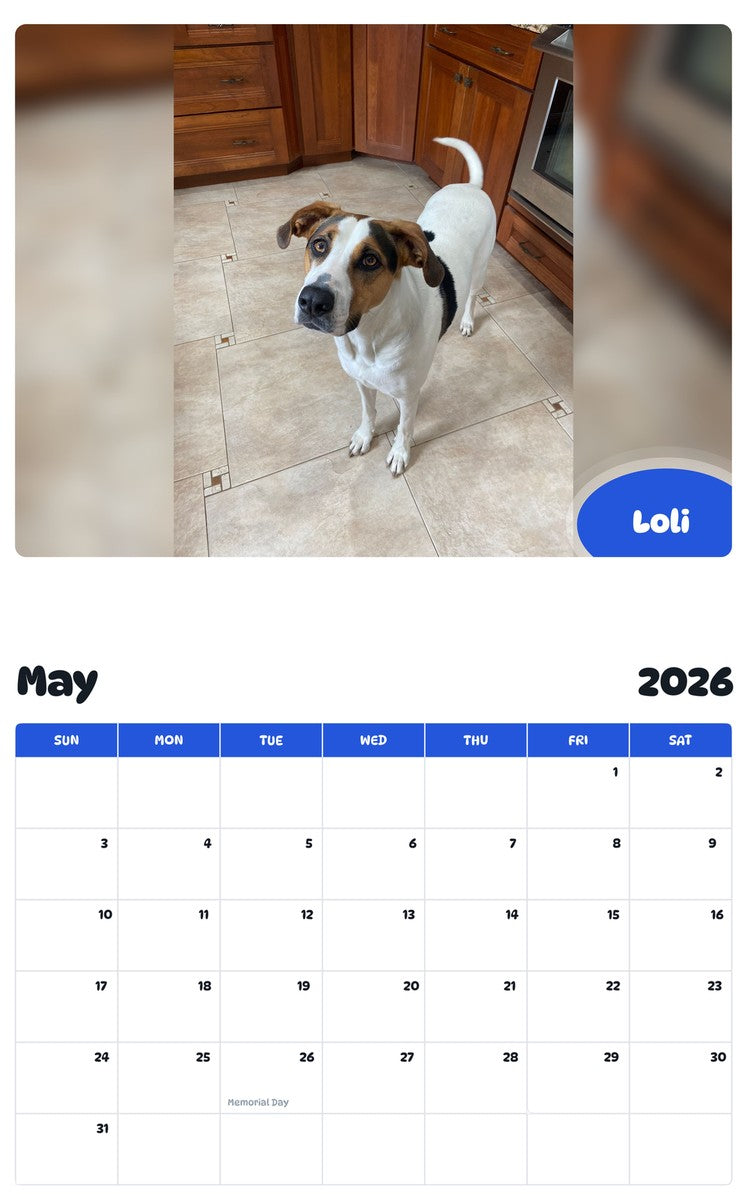 2026 - 2027 Loli - Pawidols Pet Calendar