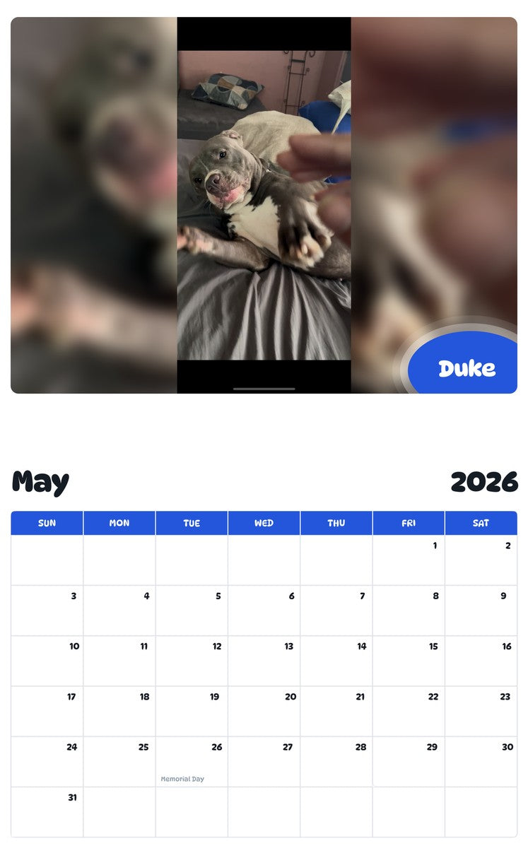 2026 - 2027 Duke - Pawidols Pet Calendar