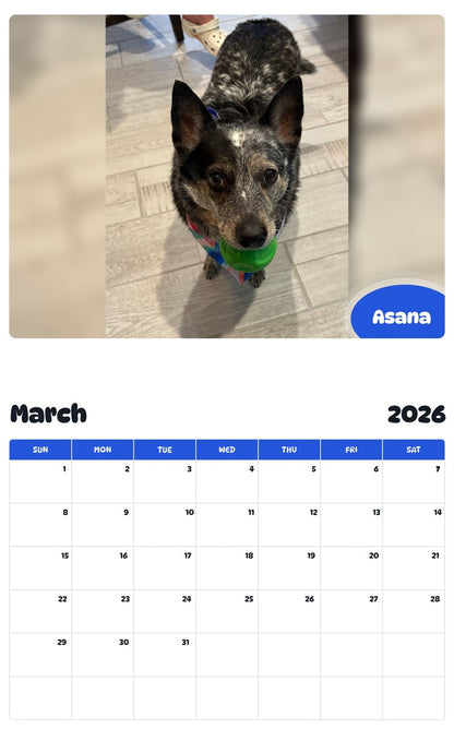 November 2025 - October 2026 Asana - Pawidols Pet Calendar