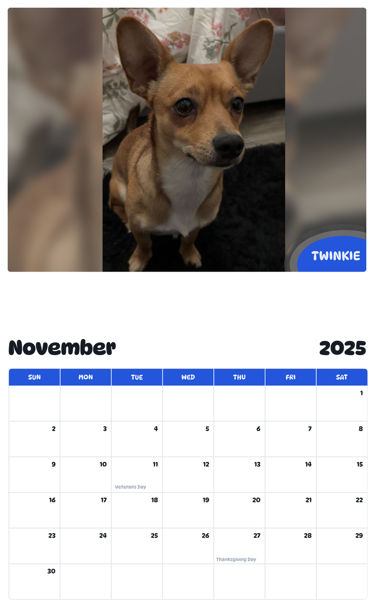 July 2025 - June 2026 Twinkie - Pawidols Pet Calendar