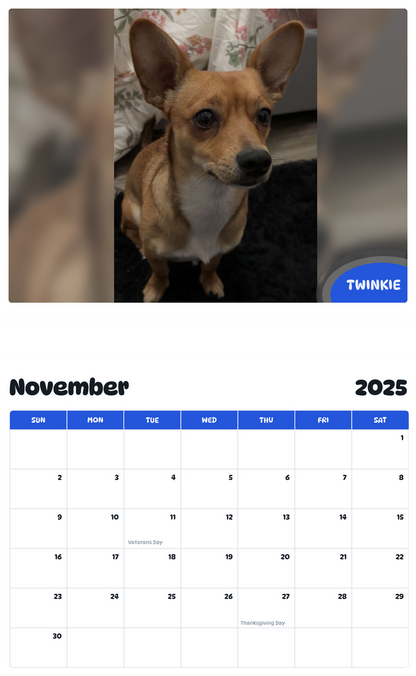 July 2025 - June 2026 Twinkie - Pawidols Pet Calendar