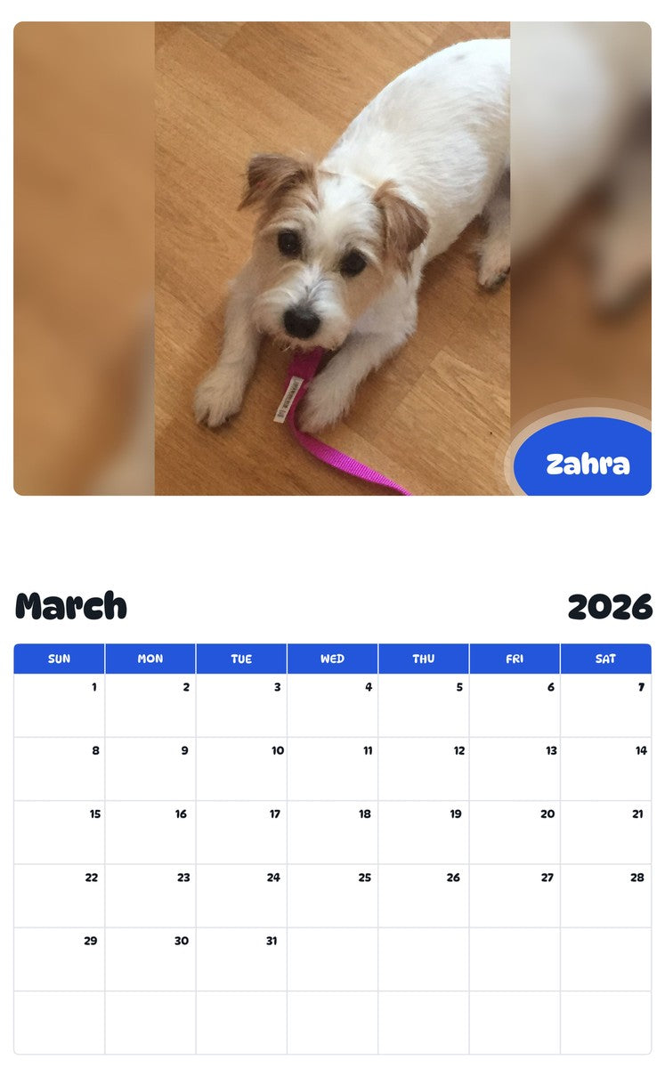 November 2025 - October 2026 Zahra - Pawidols Pet Calendar