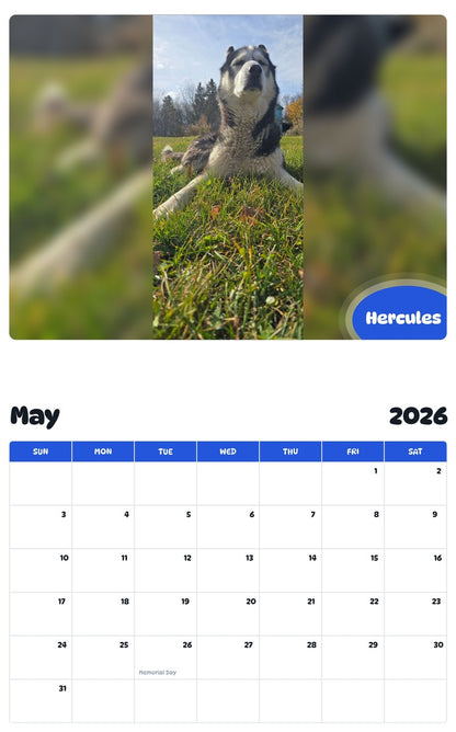 2026 - 2027 Hercules - Pawidols Pet Calendar