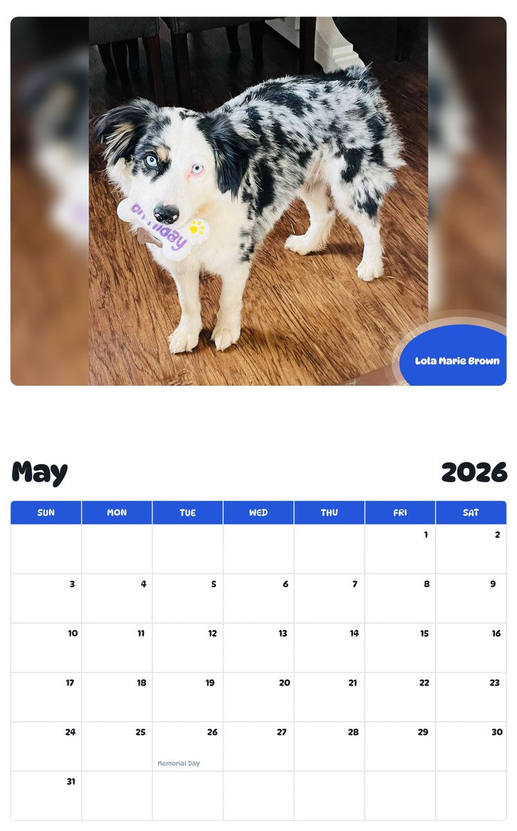 2026 - 2027 Lola Marie Brown - Pawidols Pet Calendar