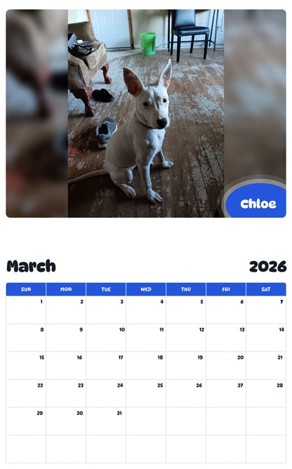 November 2025 - October 2026 Chloe - Pawidols Pet Calendar