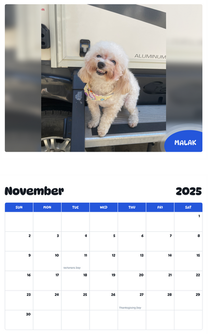 July 2025 - June 2026 Malak - Pawidols Pet Calendar