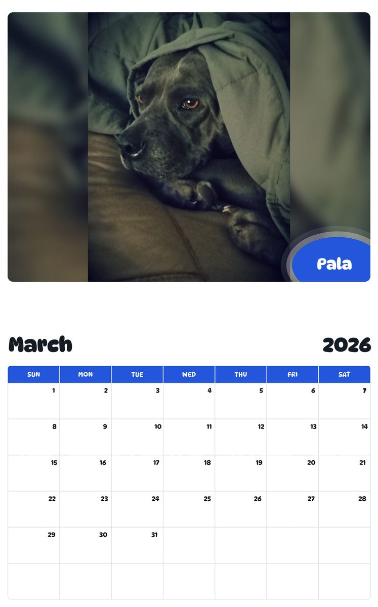 November 2025 - October 2026 Pala - Pawidols Pet Calendar