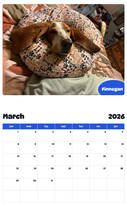 November 2025 - October 2026 Finnegan - Pawidols Pet Calendar