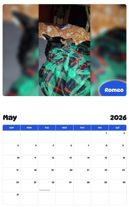 2026 - 2027 Romeo - Pawidols Pet Calendar