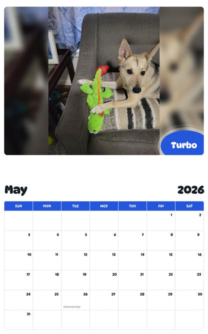 2026 - 2027 Turbo - Pawidols Pet Calendar