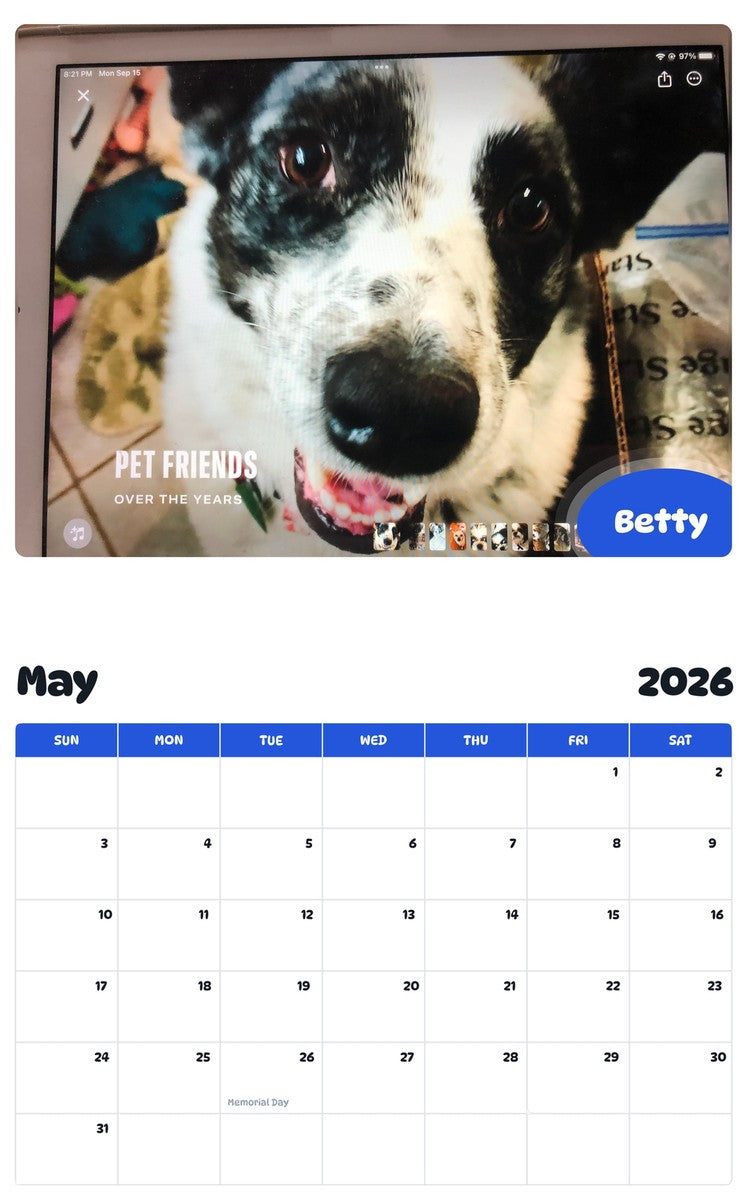 2026 - 2027 Betty - Pawidols Pet Calendar