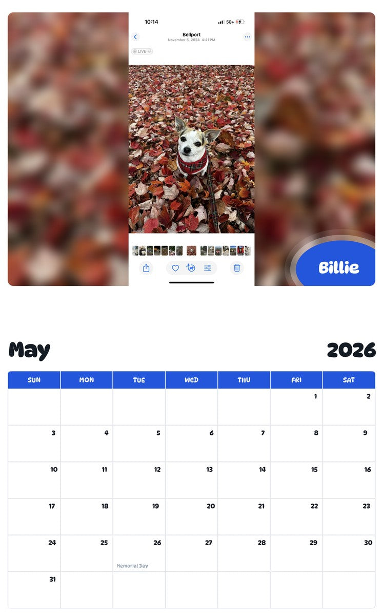 2026 - 2027 Billie - Pawidols Pet Calendar