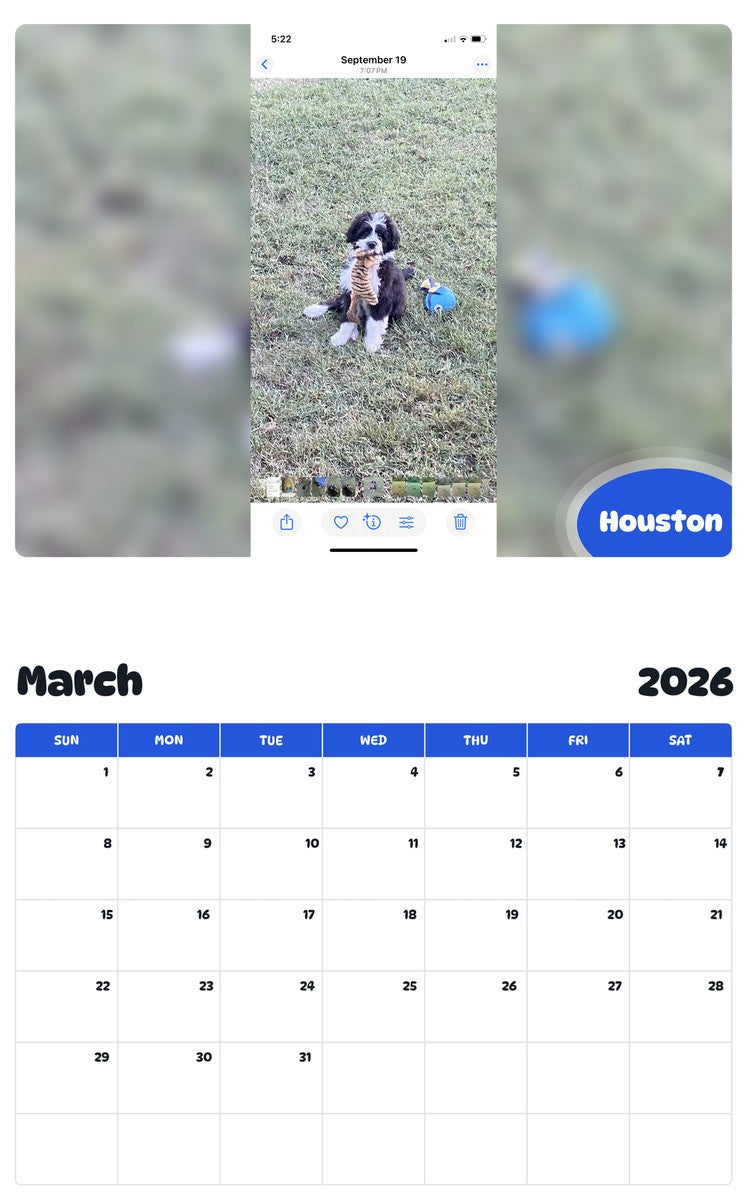 November 2025 - October 2026 Houston - Pawidols Pet Calendar
