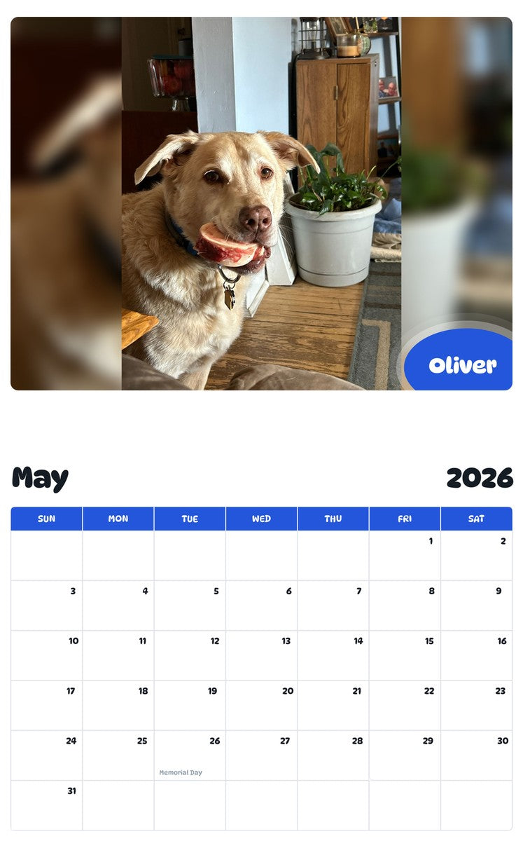 2026 - 2027 Oliver - Pawidols Pet Calendar