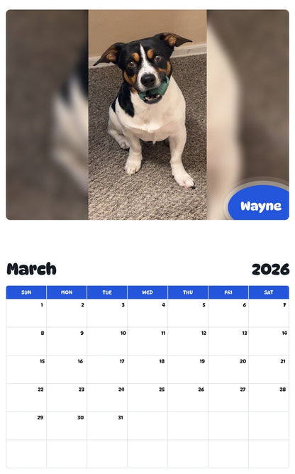 November 2025 - October 2026 Wayne - Pawidols Pet Calendar