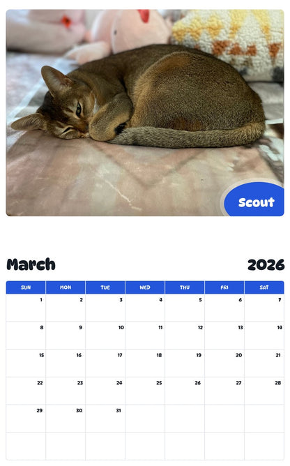 November 2025 - October 2026 Scout - Pawidols Pet Calendar