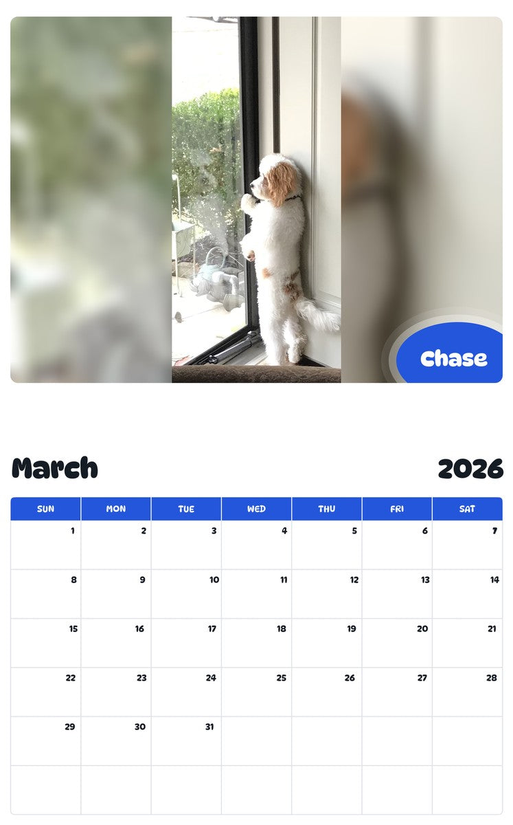 November 2025 - October 2026 Chase - Pawidols Pet Calendar