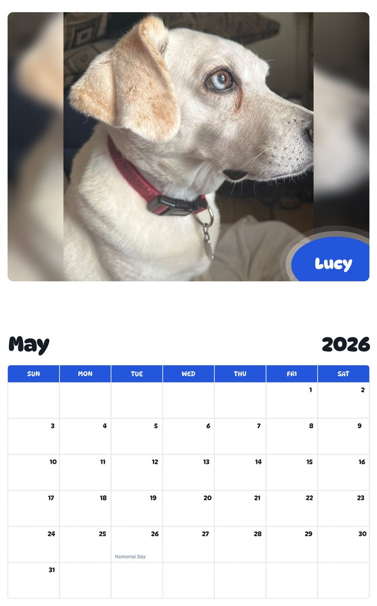 2026 - 2027 Lucy - Pawidols Pet Calendar