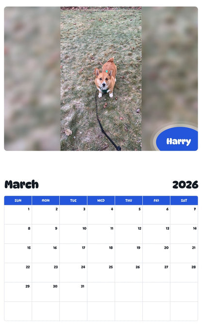 November 2025 - October 2026 Harry - Pawidols Pet Calendar