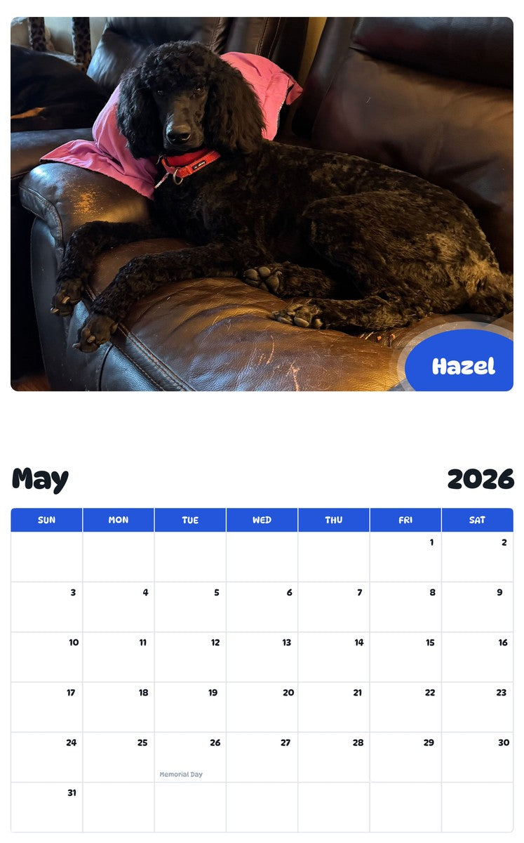 2026 - 2027 Hazel - Pawidols Pet Calendar