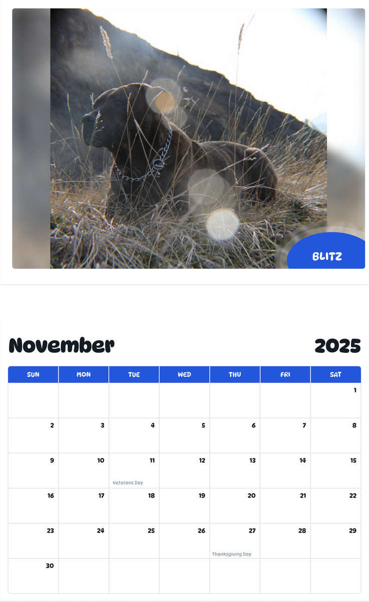 July 2025 - June 2026 Blitz - Pawidols Pet Calendar