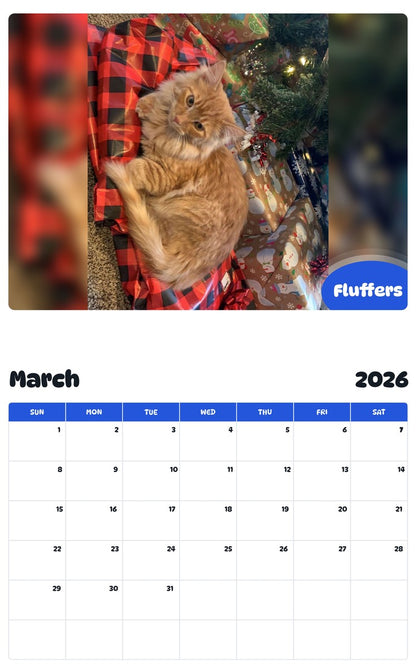 November 2025 - October 2026 Fluffers - Pawidols Pet Calendar