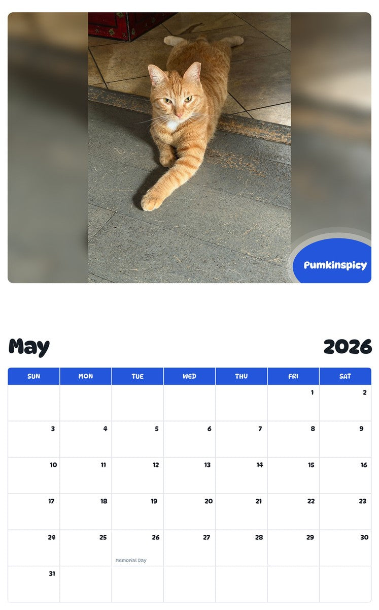 2026 - 2027 Pumkinspicy - Pawidols Pet Calendar