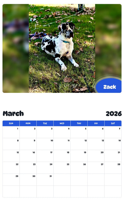 November 2025 - October 2026 Zack - Pawidols Pet Calendar